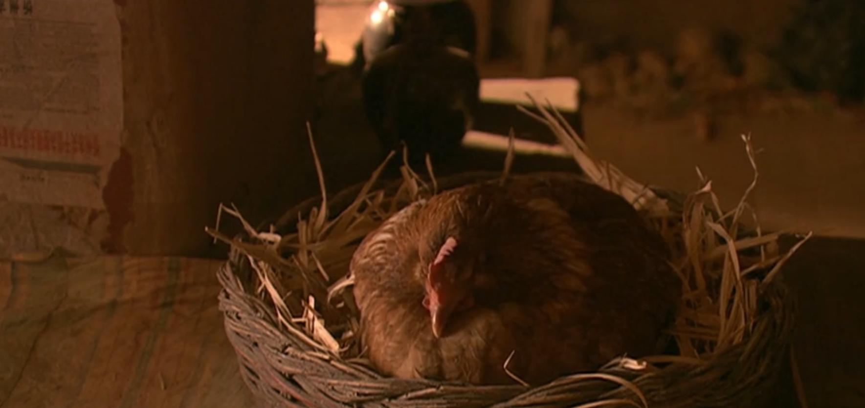 人性与欲望交织的*理片伦**，老光棍娶不起媳妇，心生恶念犯下大错