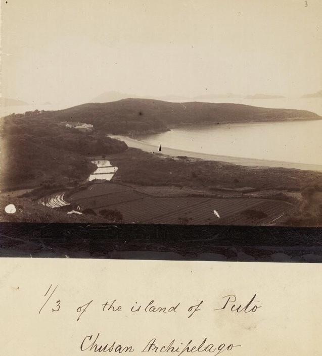 女子为活命,脱下衣服让日本人拍摄,被*辱侮**致死2