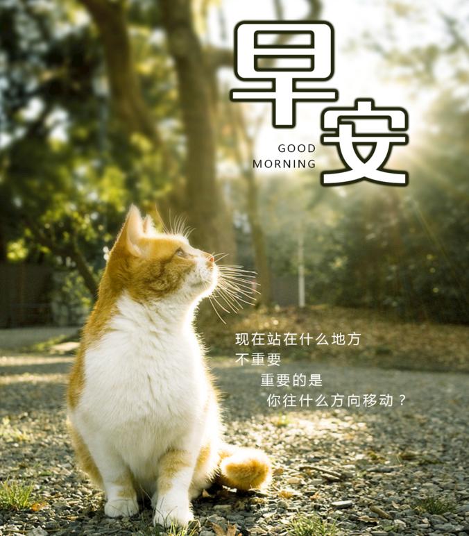 早安心语美句穿透人心几十句话,早安心语正能量图片语句一句话