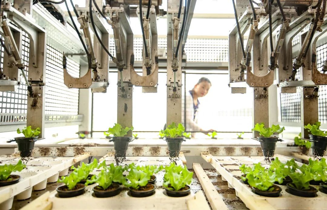 既非省会、也不临海,这里竟是全国规模最大市场集群!