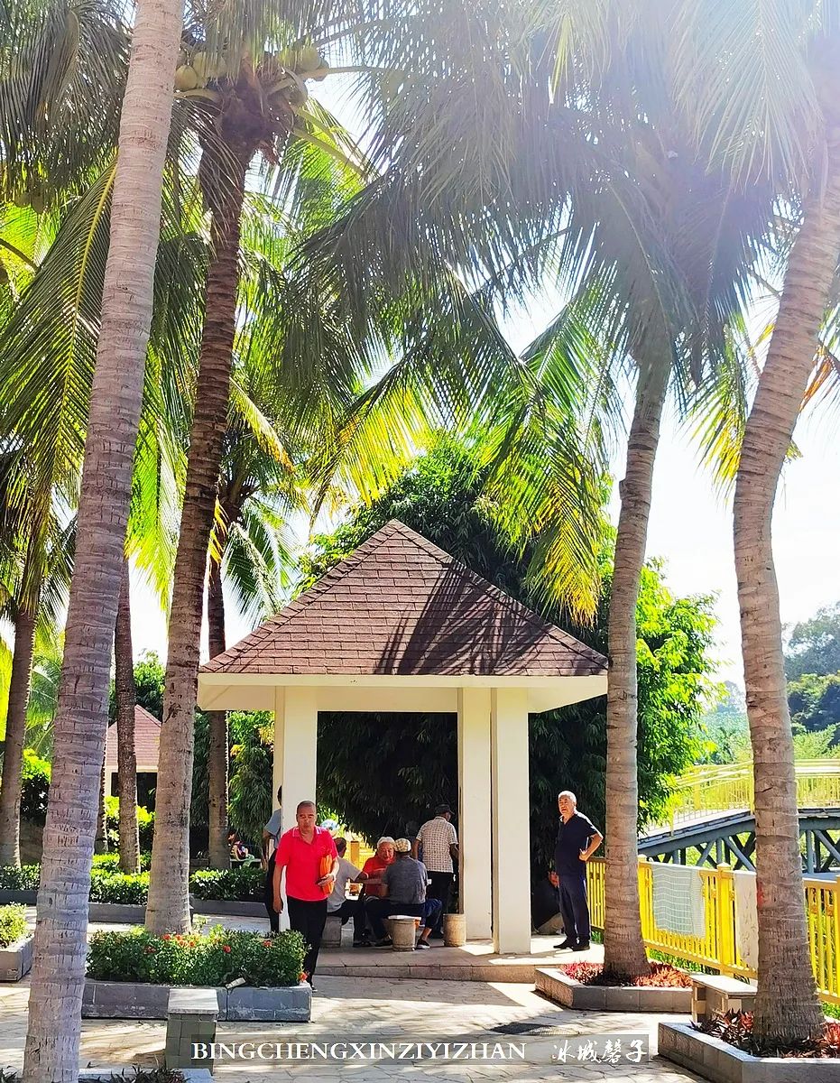 旅居海南：九所新区的浪漫情