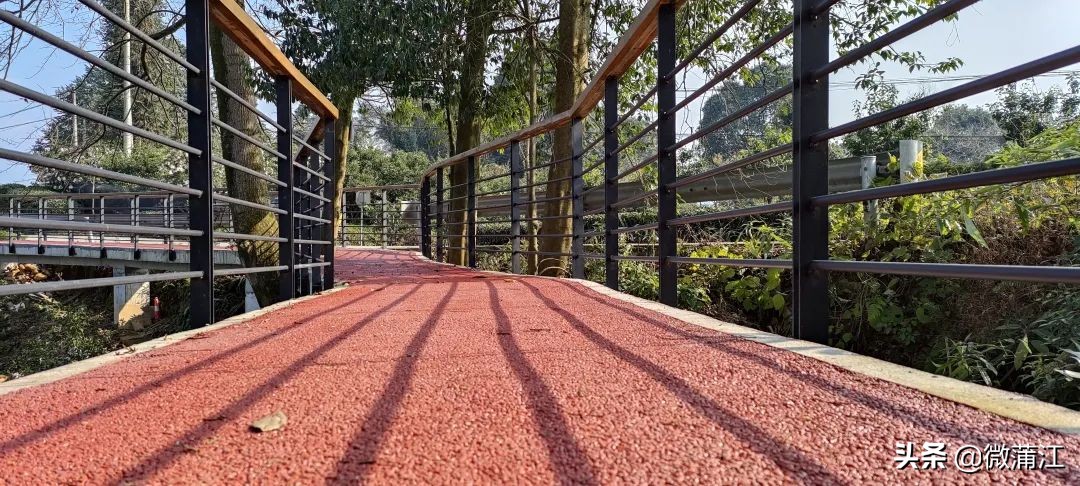 朝阳湖云端绿道,朝阳湖绿道