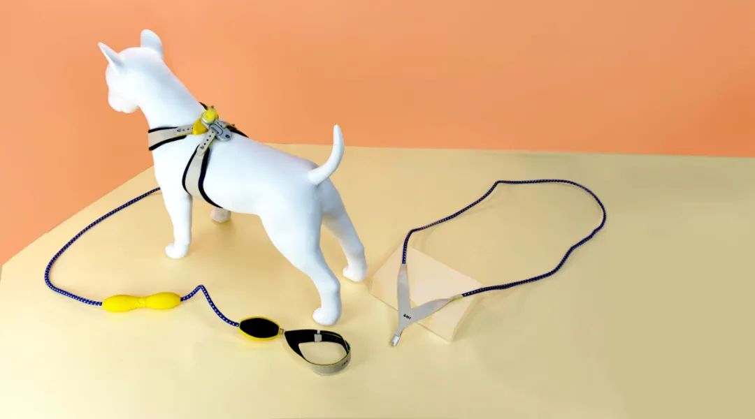 2022年iF设计奖：宠物用品类