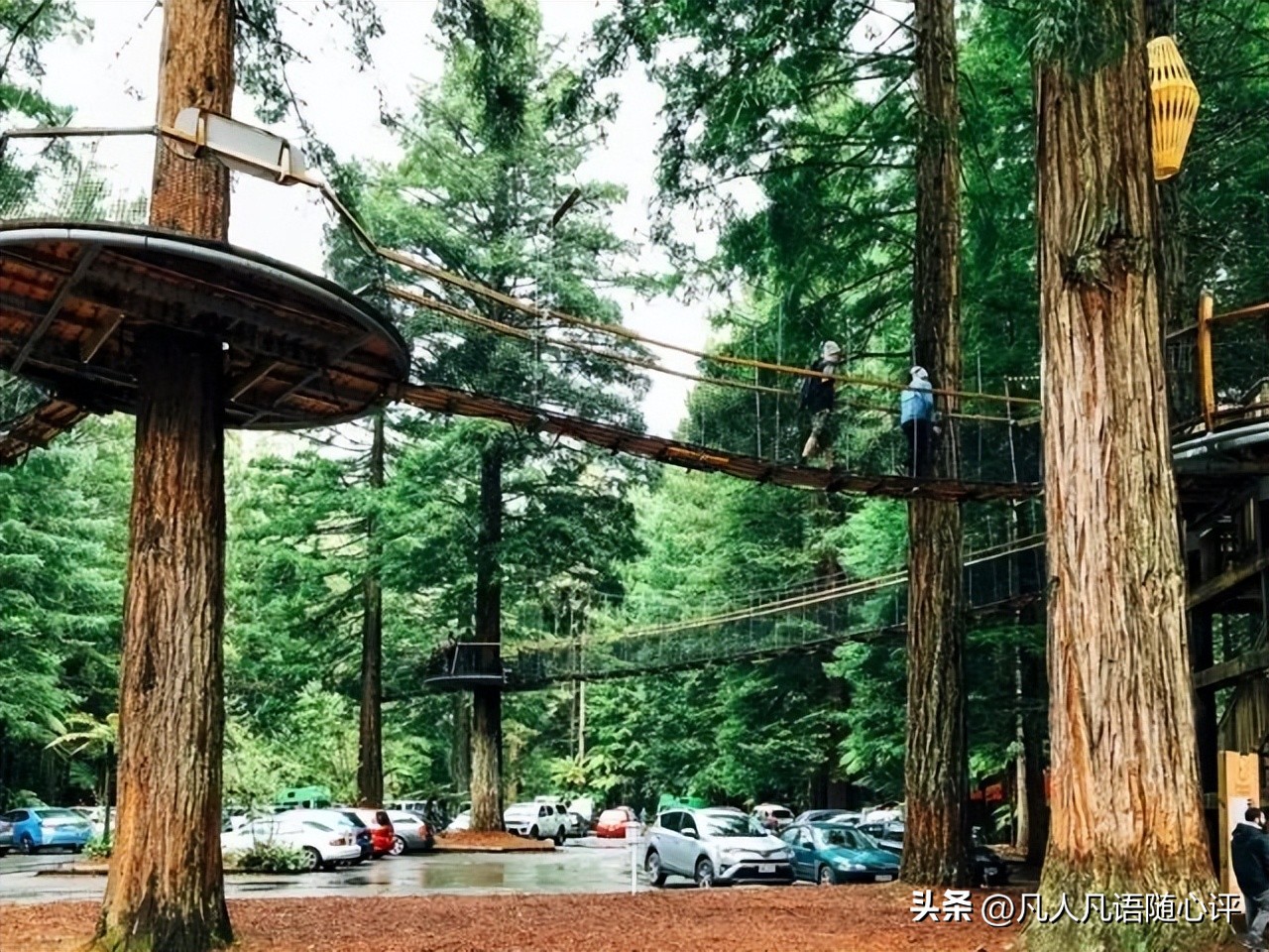 周游记2新西兰之旅,新西兰之旅15集