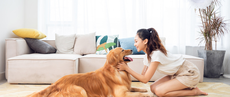 2023年宠物行业的发展现状及前景,2023年宠物市场前景分析