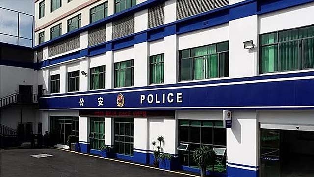 巨蟒报恩的真实事件,海南巨蟒为报主人救命之恩