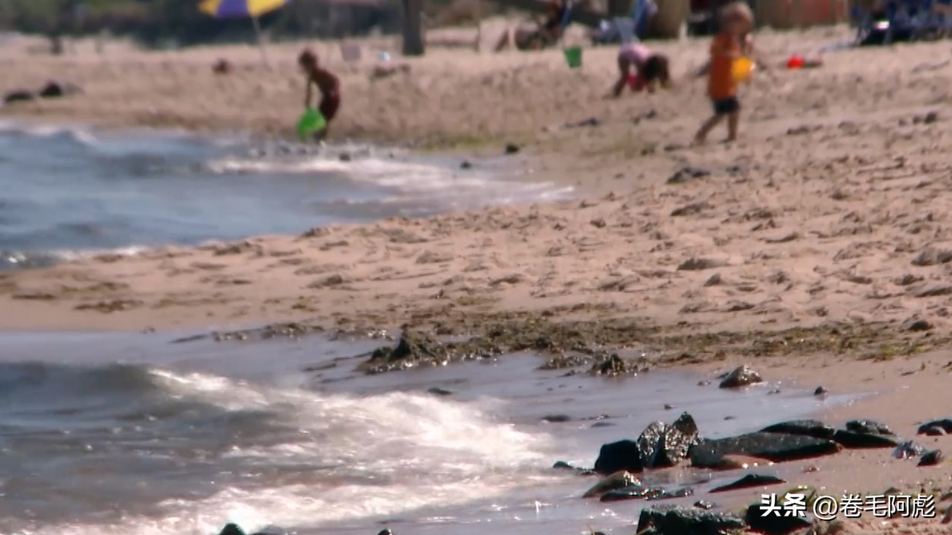 女子被12只蜱虫咬,美国女子被虫子咬