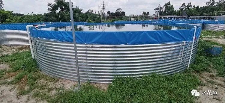 养殖集资诈骗8000万判刑案例,集资养殖诈骗案