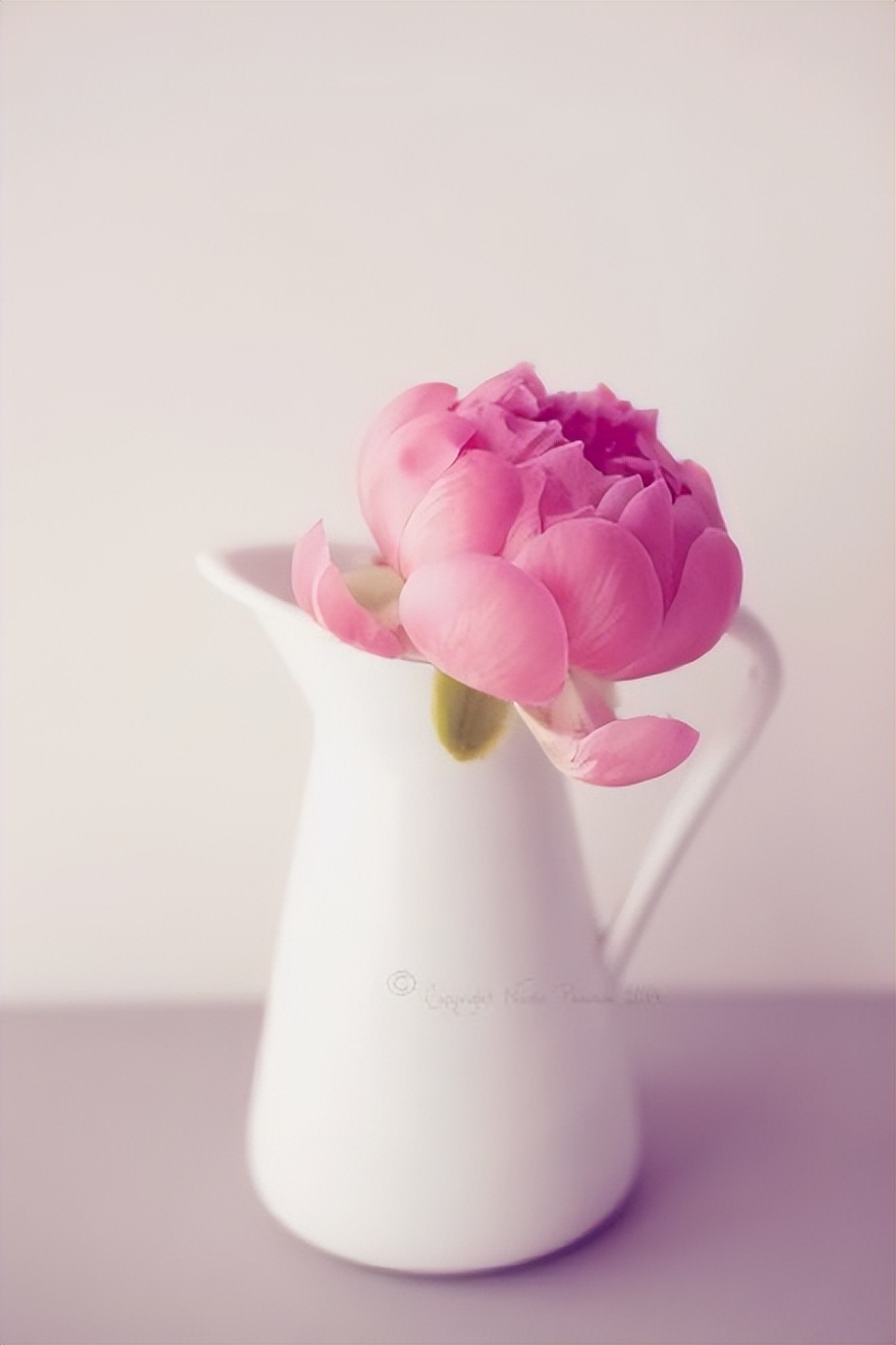 早安的正能量句子朋友圈,早安开心的句子发朋友圈