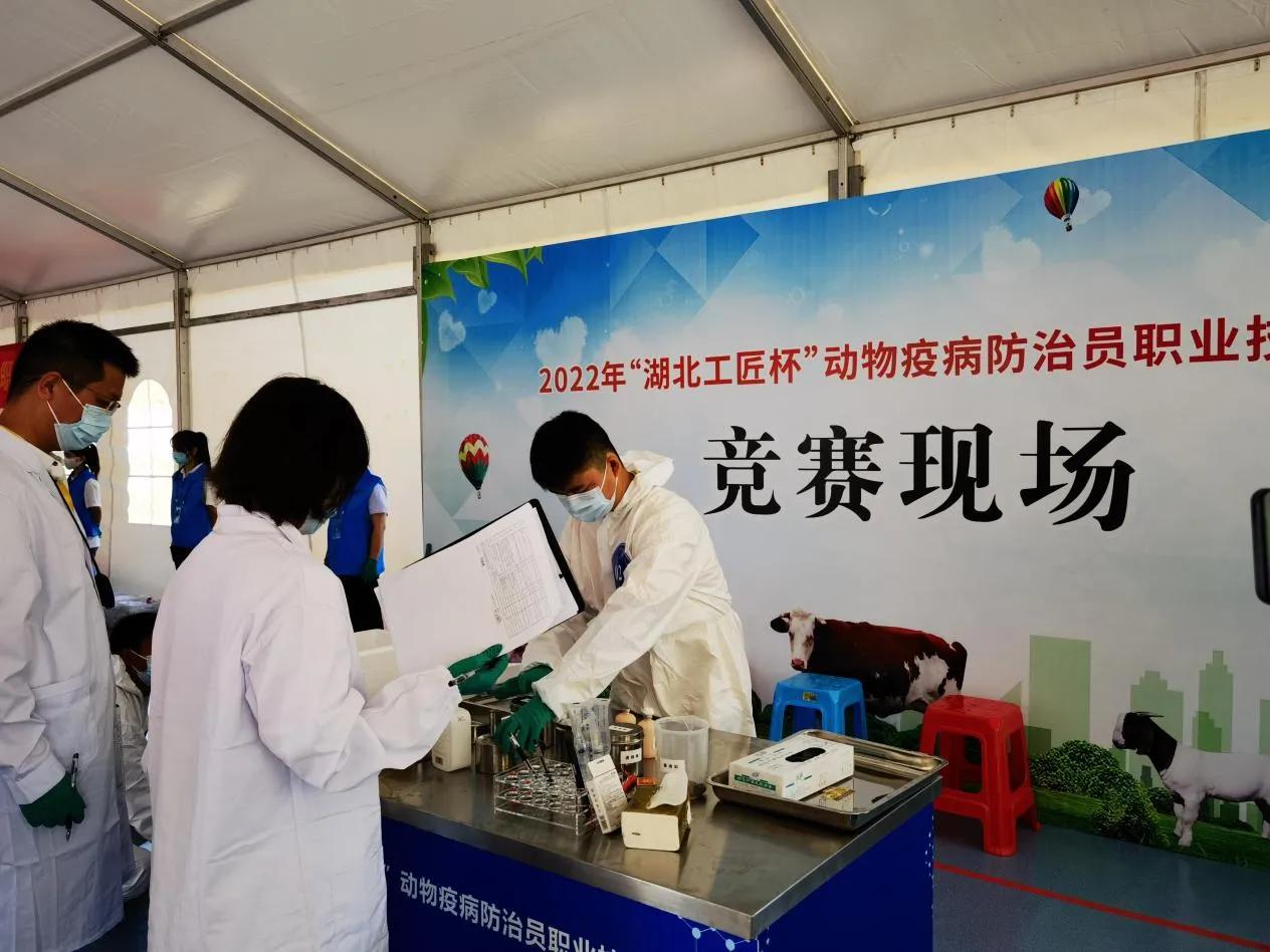 湖北省医药工匠杯技能大赛,2024湖北工匠杯职业技能大赛护理