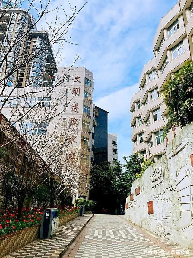 重庆二十九中招生办电话,重庆二十九中招生范围