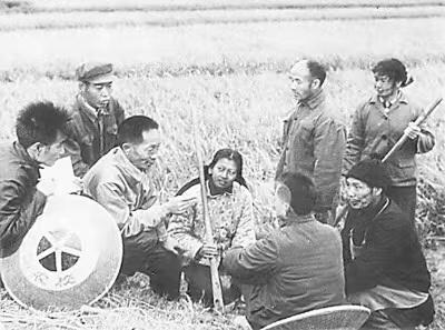 袁隆平年轻时的故事,袁隆平年轻时代