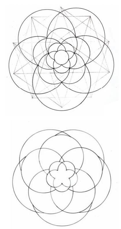 几何之花2：圆的内部分裂