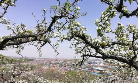 沈阳市铁西区-春游的好地方，一起来这里打卡吧
