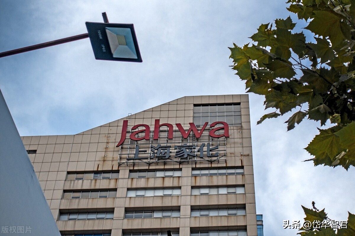 百年日化，上海家化：组织变革，厚积薄发，123方针能否显成效？