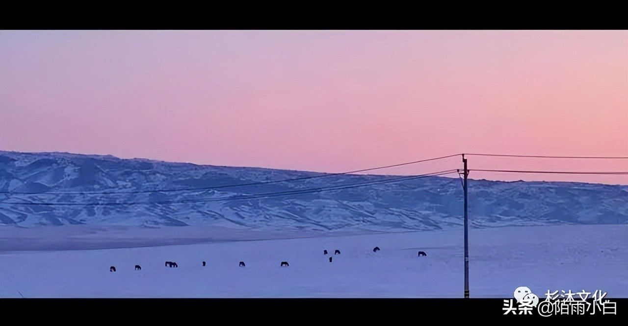 用手机拍短视频的技巧,拍带货短视频的技巧