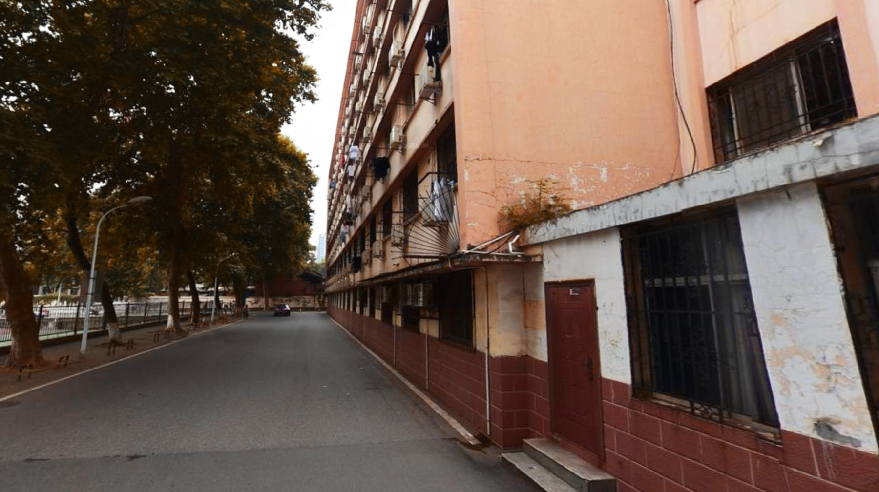 武汉城市学院梧桐树,武汉被高校环绕的景区