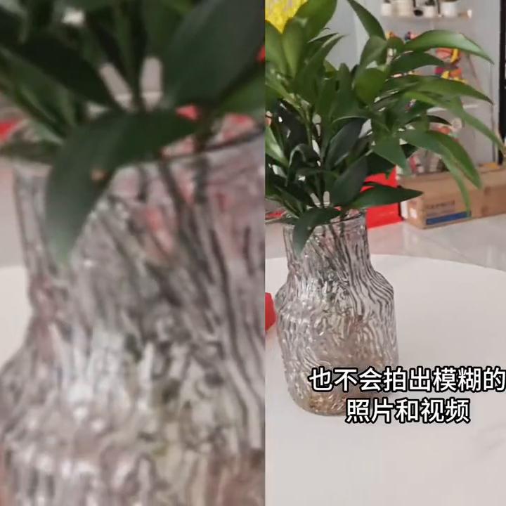 一加11和ace2pro哪个拍照好,一加ace2pro拍照实测