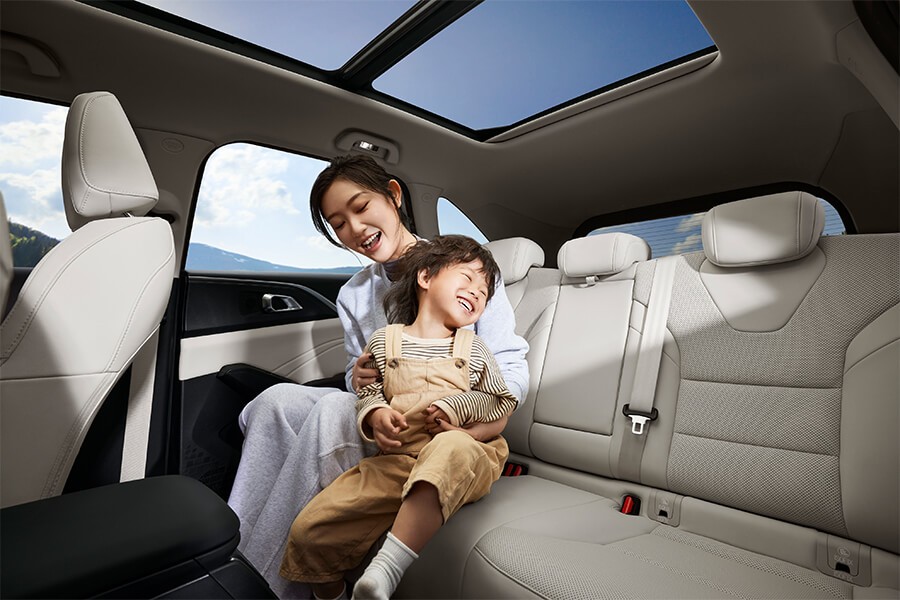 哈弗插电混动枭龙max最新优惠,哈弗枭龙max对比宋plusdm-i哪个好