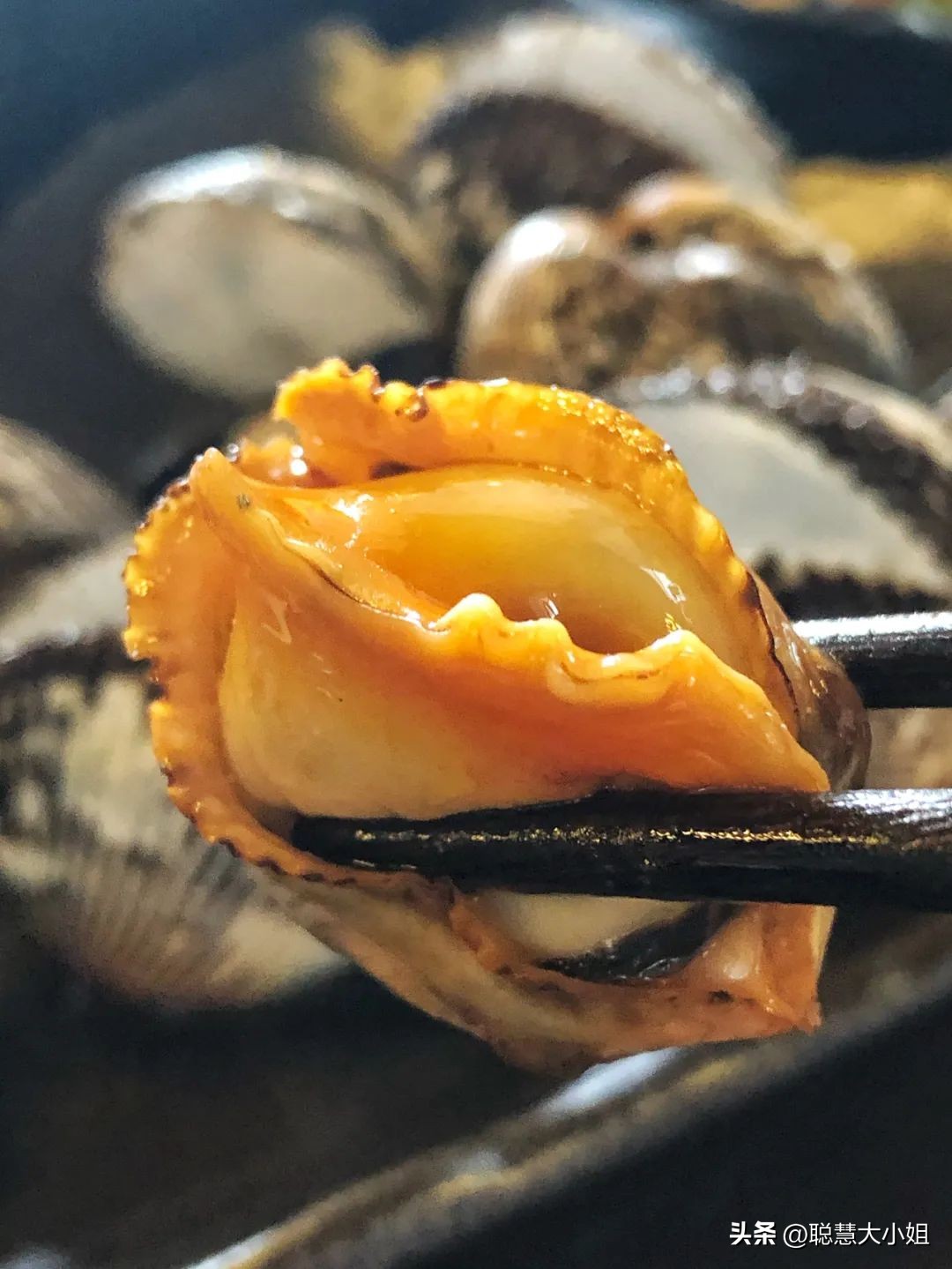 珠海百岛之城排名,广东珠海千岛之城