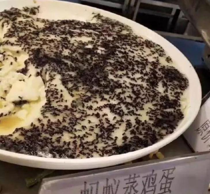 学校食堂出现一些奇葩菜,大学食堂十大怪菜