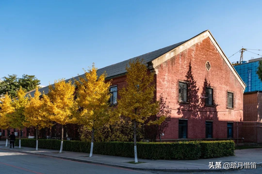 东北沈阳疫情最新通报,东北沈阳疫情