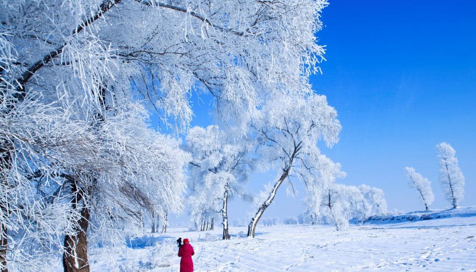 描写雾凇的美景的诗句,最经典的赞美雾凇的诗句
