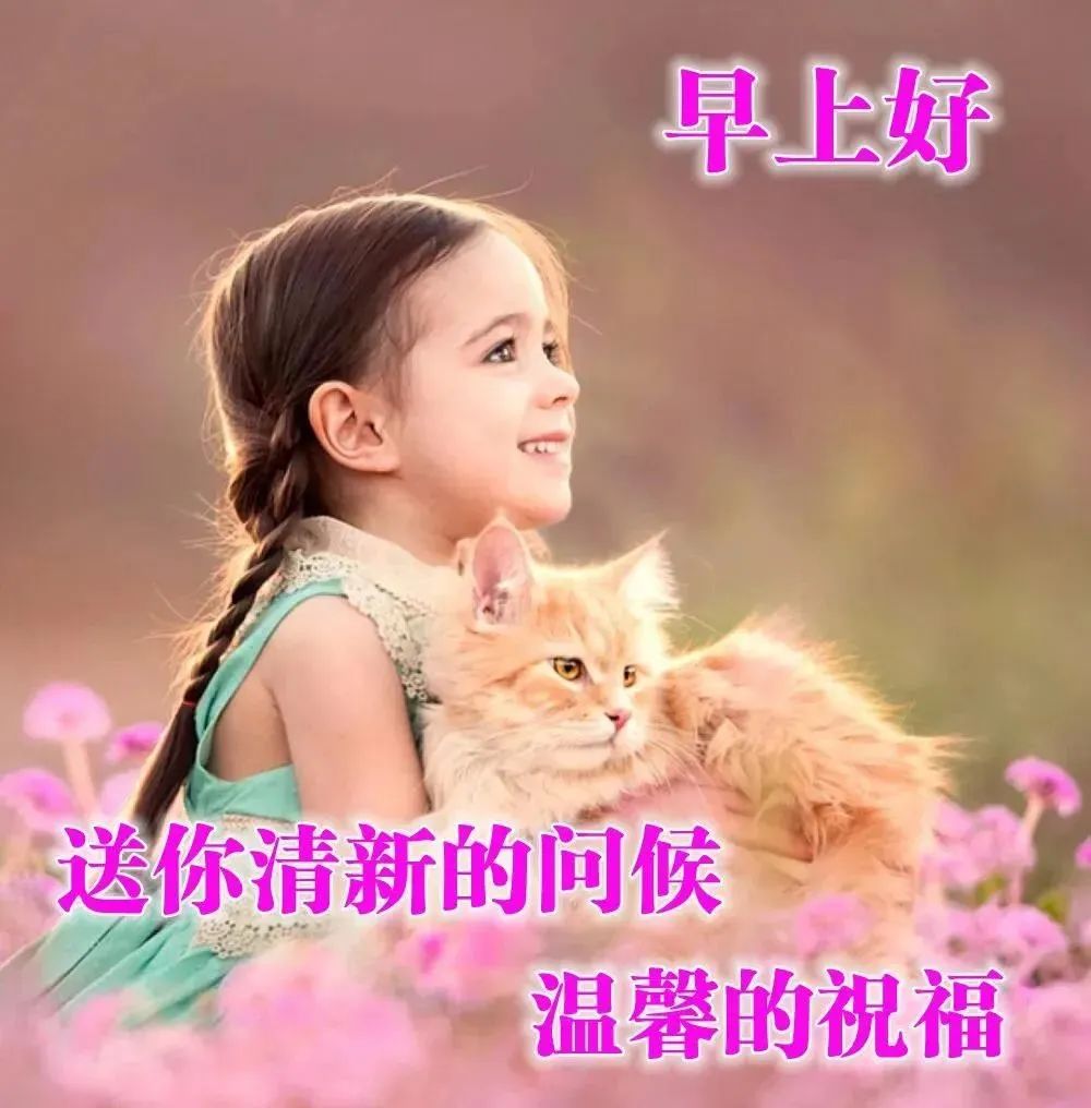 新的一周早安正能量句子图文,早安语录大全图文