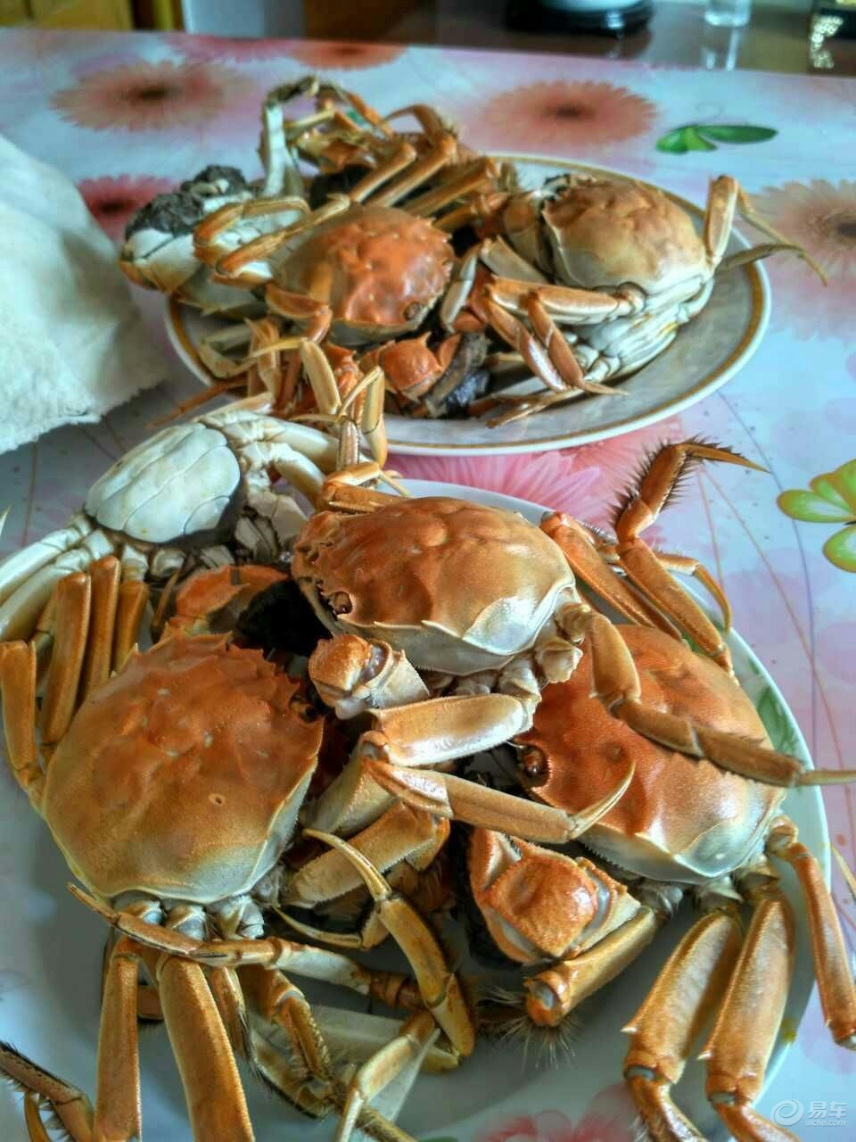 天津有哪些特色土特产,天津的特产什么地方的最正宗