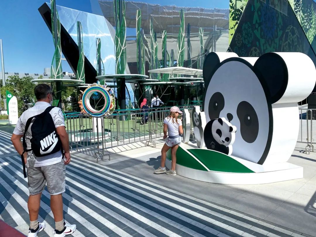 迪拜世博会中国馆复兴号,迪拜世博会彩绘飞机