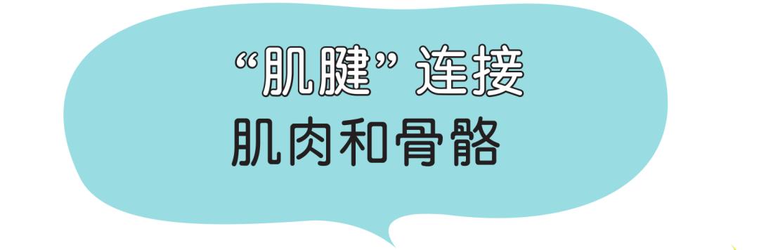 锻炼脚底跟腱的方法有哪些,足部跟腱拉伸的好处