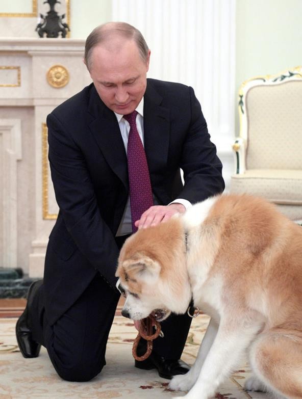 迷人小老头普京：当特工时接头都要迟到，曾牵着狗会见日本代表