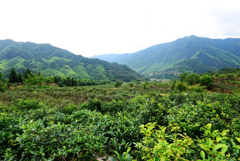 【上饶天下SHOW之铅山县】一文带你去看铅山传统记忆