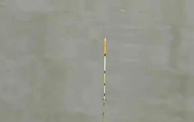 新手钓鱼入门基本功怎样绑子线,新手钓鱼入门基本功怎样绑浮标