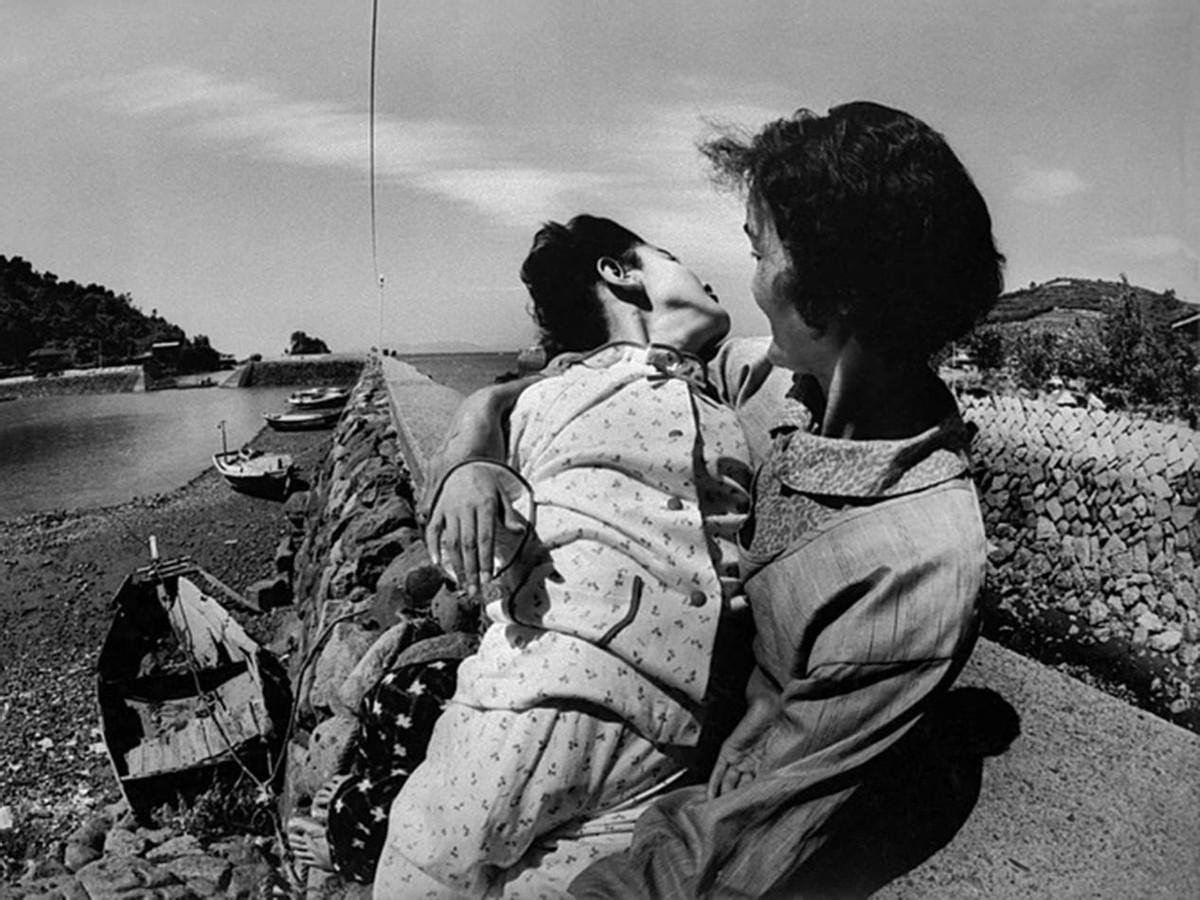 日本猫跳海,日本猫跳海事件