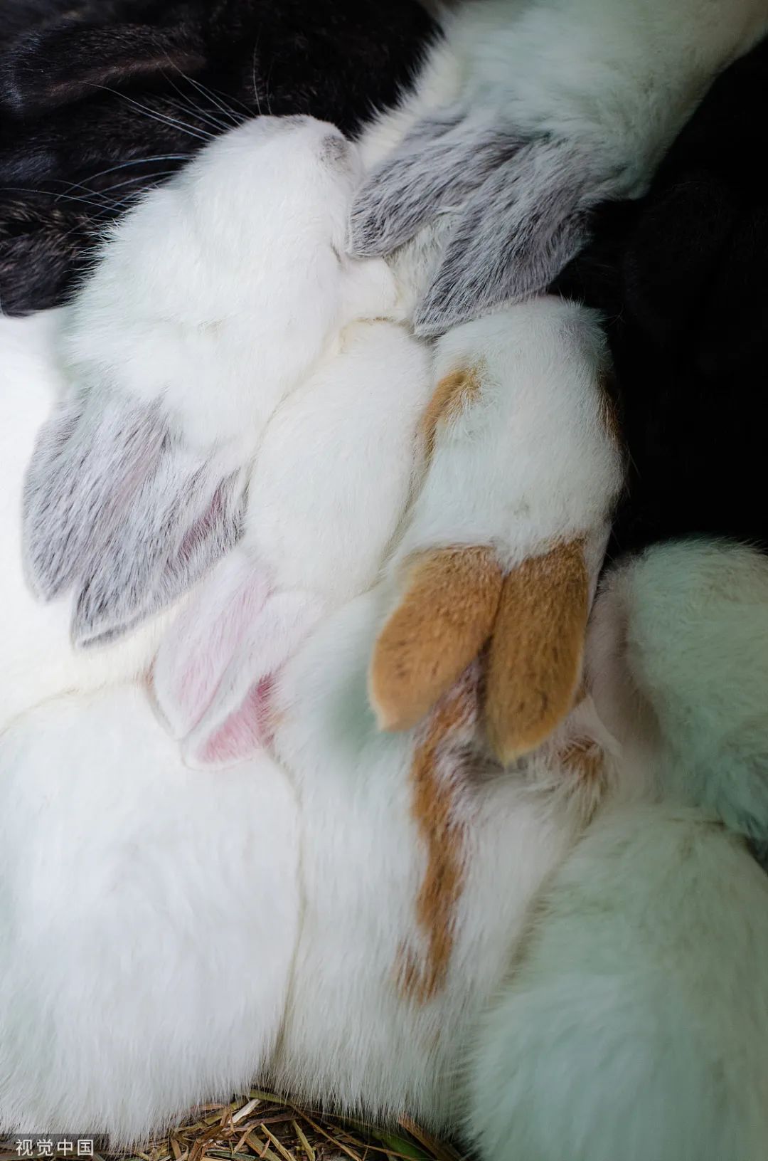 原来你是这样的宋医生在线阅读,原来你是这样的人作文