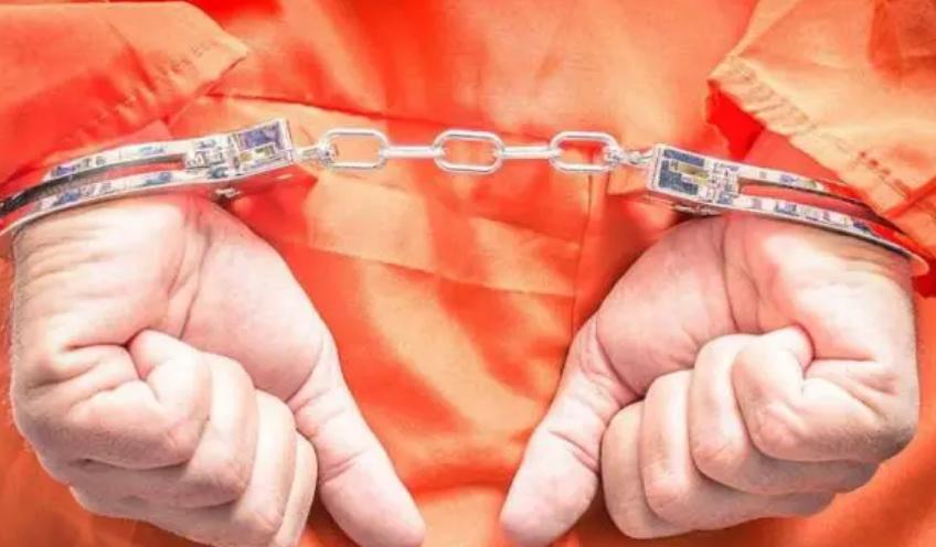 组织卖淫罪根据什么法律,刑法关于组织卖淫案的量刑