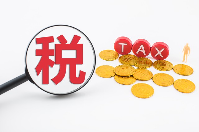 中国对纳税人的态度,关于纳税人的言论