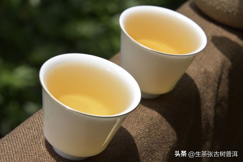 怎么挑生普洱茶,怎么样的普洱生茶才是好茶