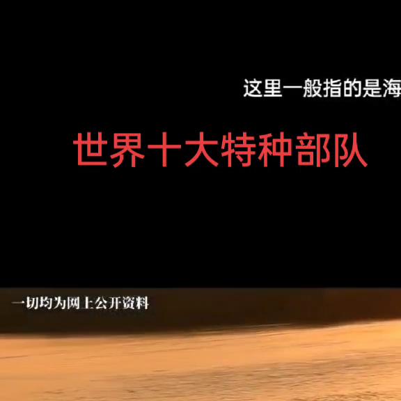 世界上十大反恐特种部队,世界十大特种部队突击步枪