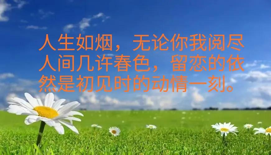 人生最美初见纯音乐,人生最美是初见