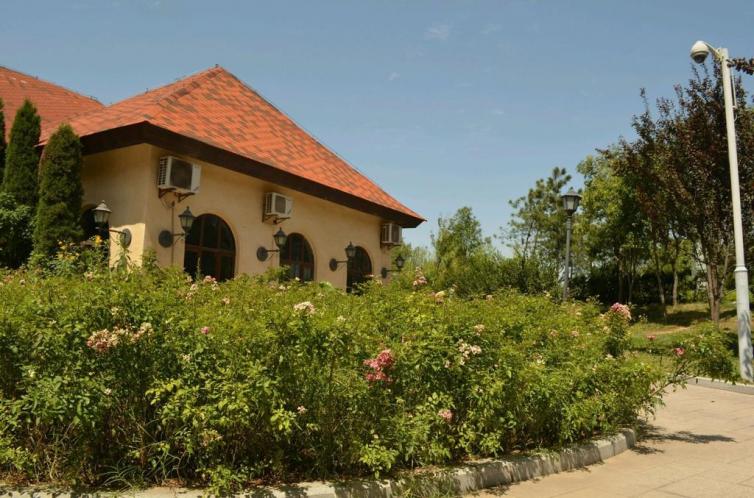 西安到湖南自驾游景点推荐,西安到蜀南竹海自驾游沿途景点