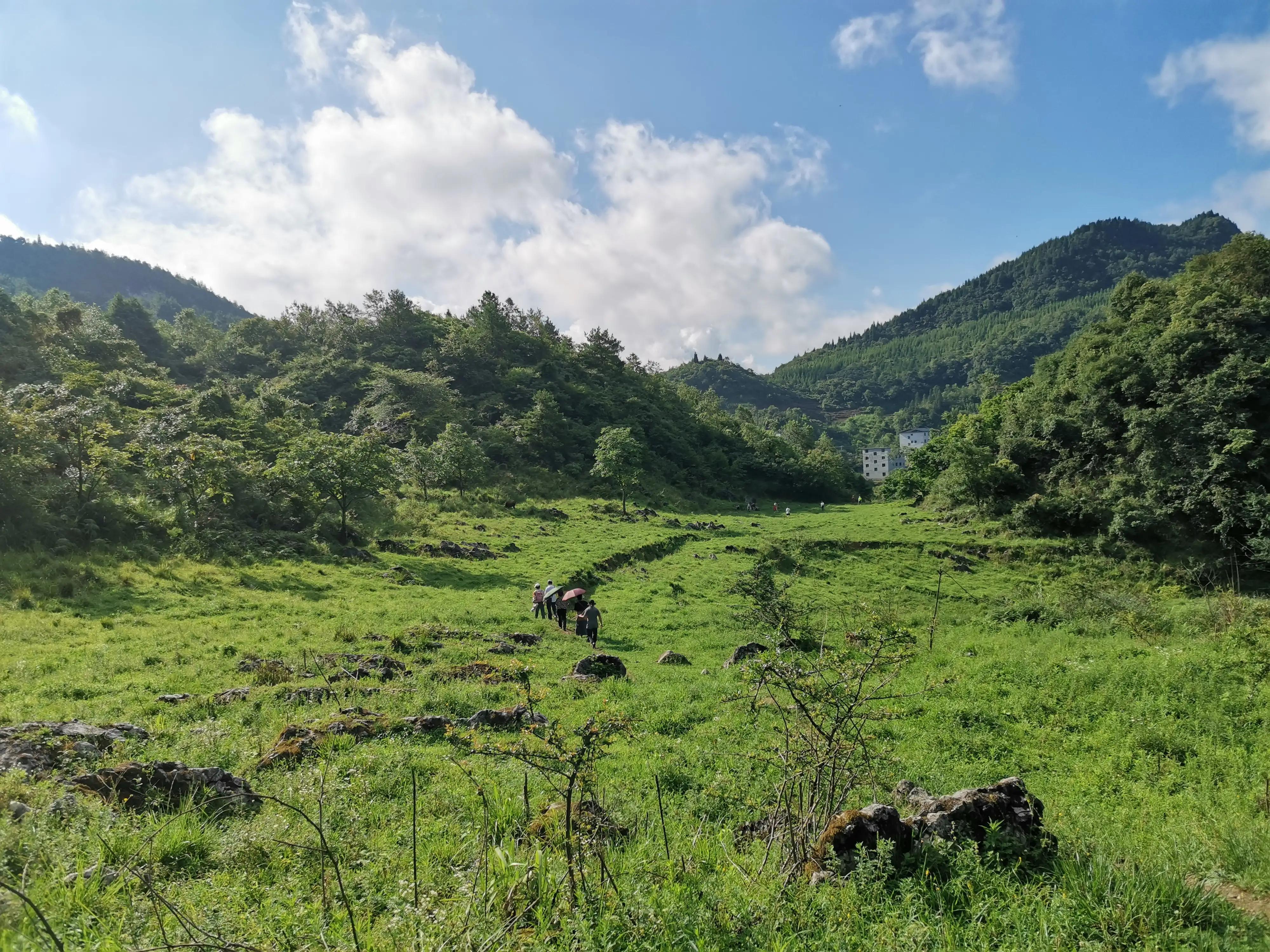桐梓楚米避暑海拔高的地方,贵州桐梓楚米避暑哪家好