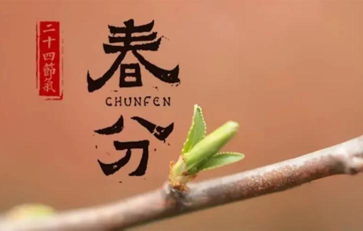 春分节气吃什么身体倍儿棒,春分节气吃什么菜养胃