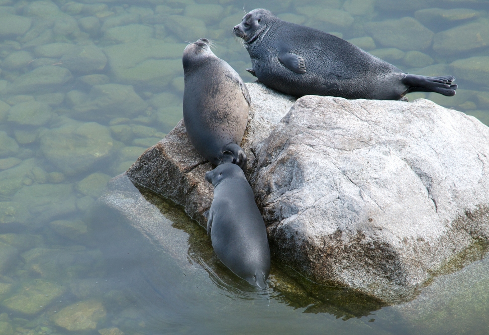 世界上最深的湖泊贝加尔在哪个洲,世界最深的湖叫贝加尔湖