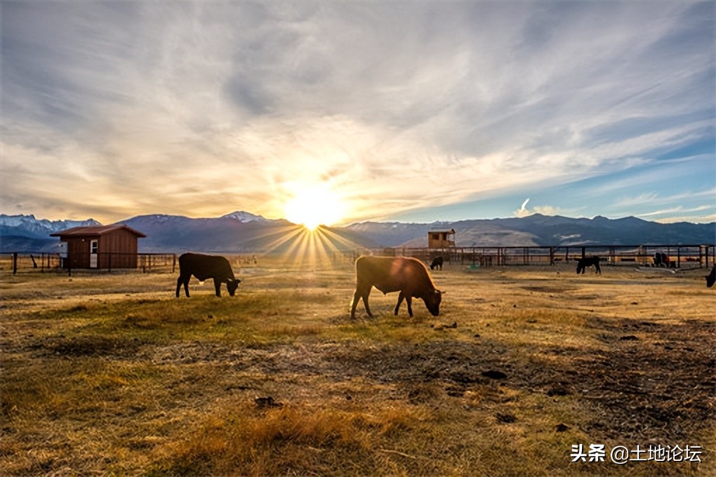 国家扶持农村创业项目大全,农村创业最新项目有哪些