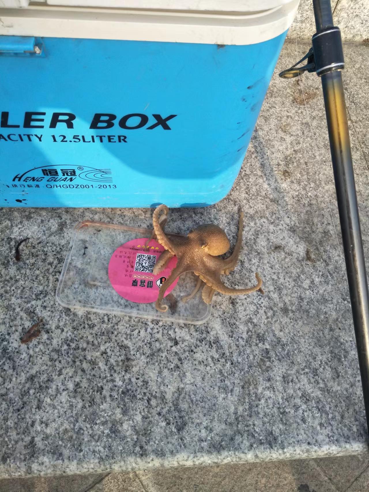 海钓常见海洋鱼类识别方法,海鲈是哪种钓法