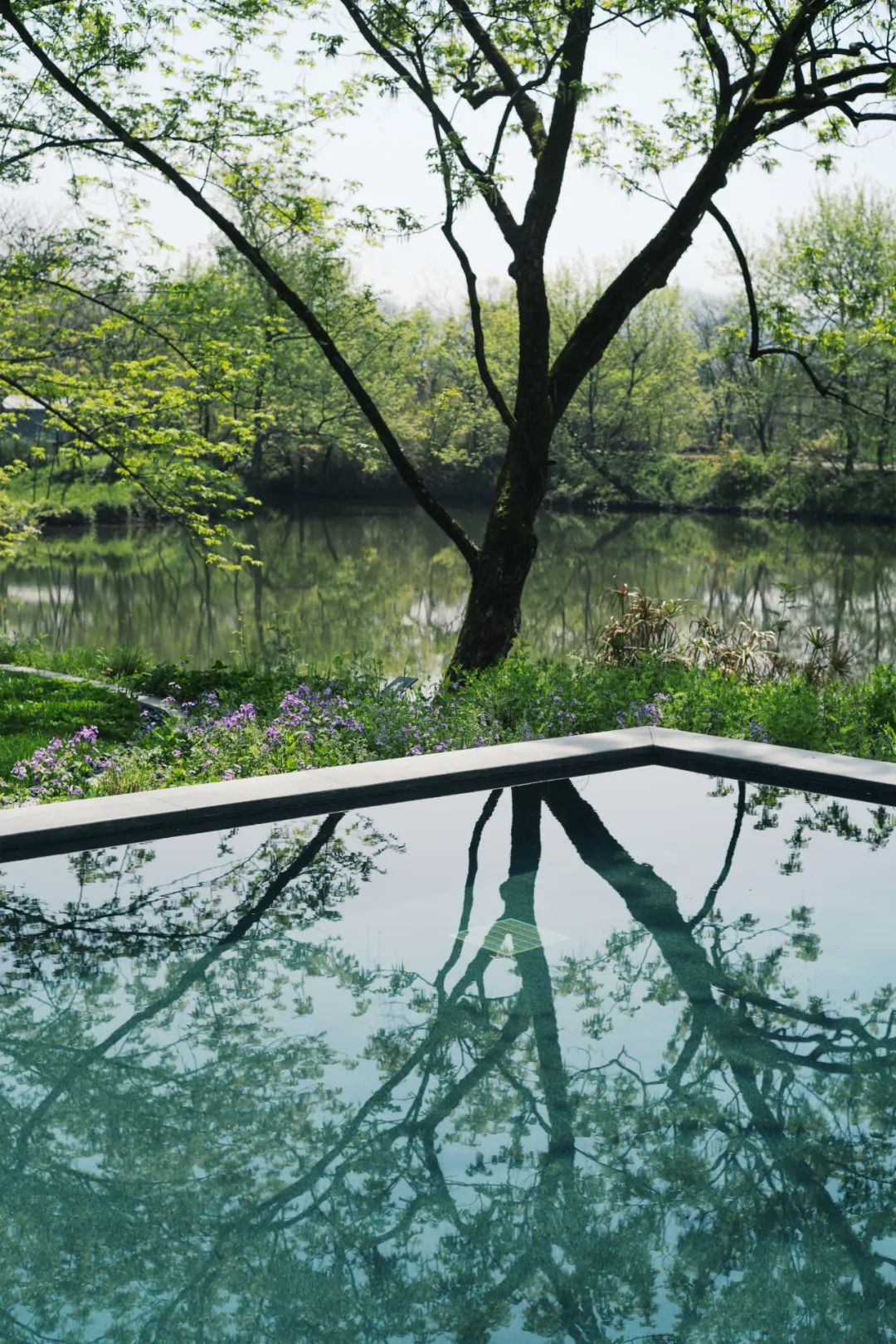 春天的潺潺溪水,春天的顶流