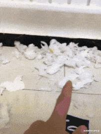 女友是太平公主,说女朋友是太平公主怎么哄