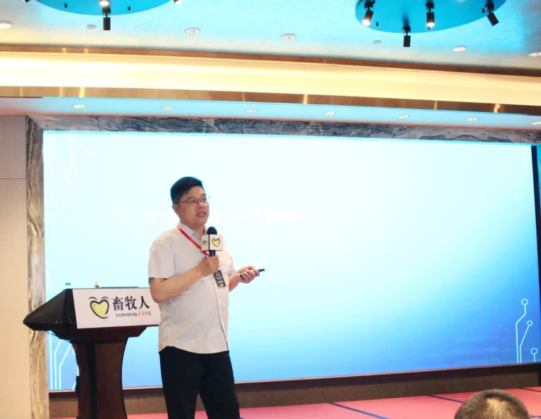 聚焦创新突破研讨发言材料,饲料企业爆品突破研讨会